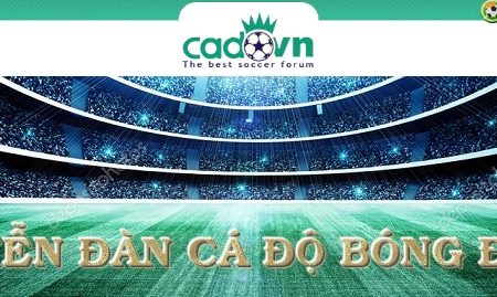 Diễn đàn cá độ bóng đá chất lượng tại Việt Nam – Cadovn & Asianbookie