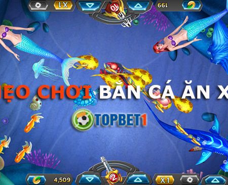 Top 8 mẹo chơi bắn cá ăn xu hay nhất hiện nay